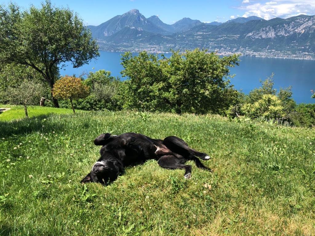 Favai Hills Your Secret Hideaway Brenzone sul Garda Esterno foto